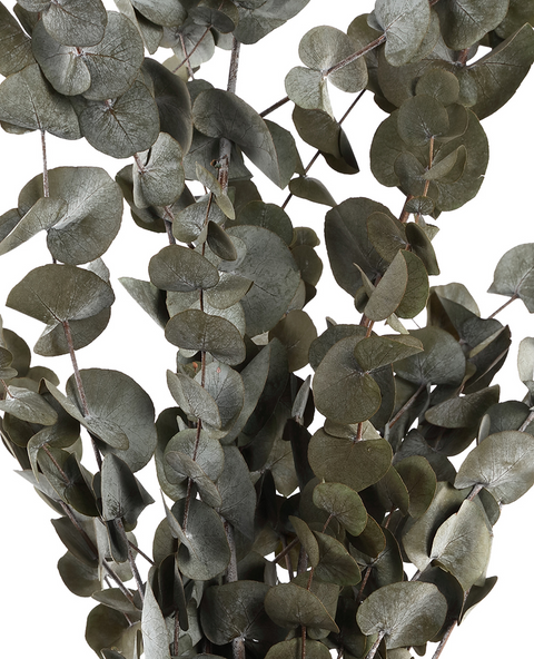 Gedroogde Eucalyptusbladeren - Rond