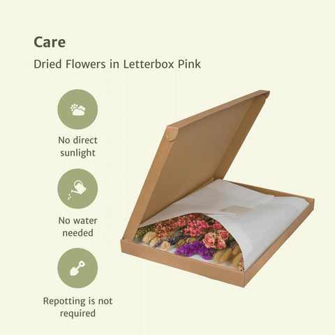 Droogbloemen in Letterbox Pink - Droogboeket - 35cm - Ø10