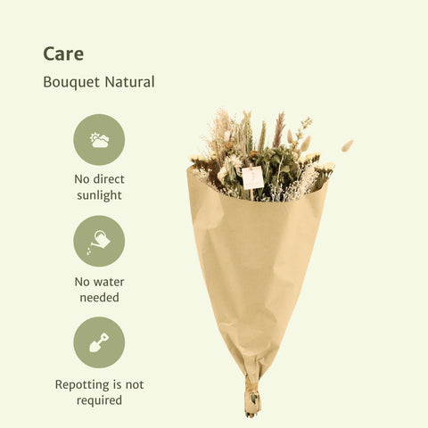 Bouquet Natural - Droogboeket - 60cm - Ø25