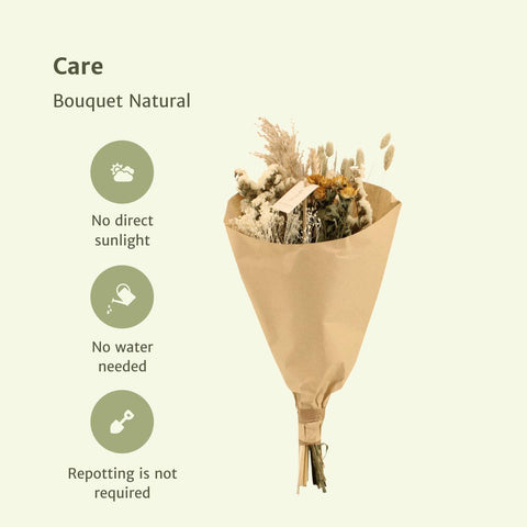 Bouquet Natural - Droogboeket - 50cm - Ø20