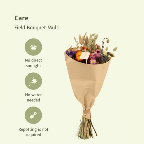 Field Bouquet Multi - Droogboeket - 50cm - Ø20