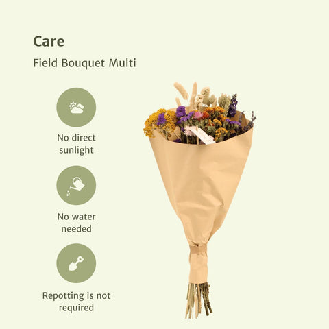 Field Bouquet Multi - Droogboeket - 60cm - Ø25