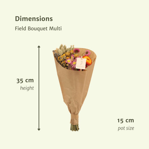 Field Bouquet Multi - Droogboeket - 35cm - Ø15