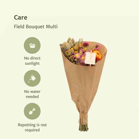 Field Bouquet Multi - Droogboeket - 35cm - Ø15
